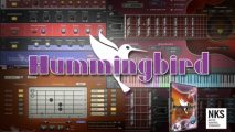 Hummingbird introduction