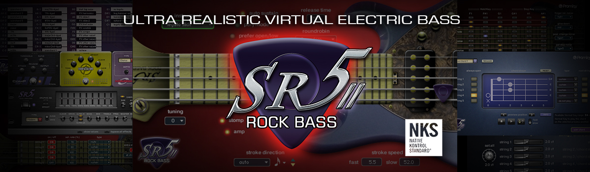 SR5 Rock Bass 2のイメージ画像
